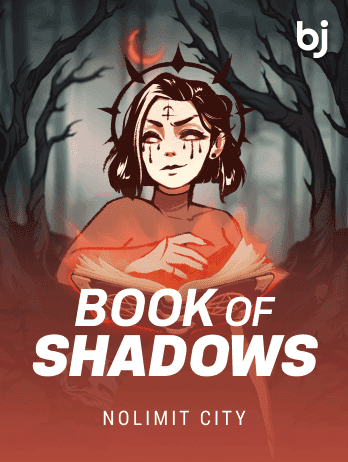 Book Of Shadowspng icon
